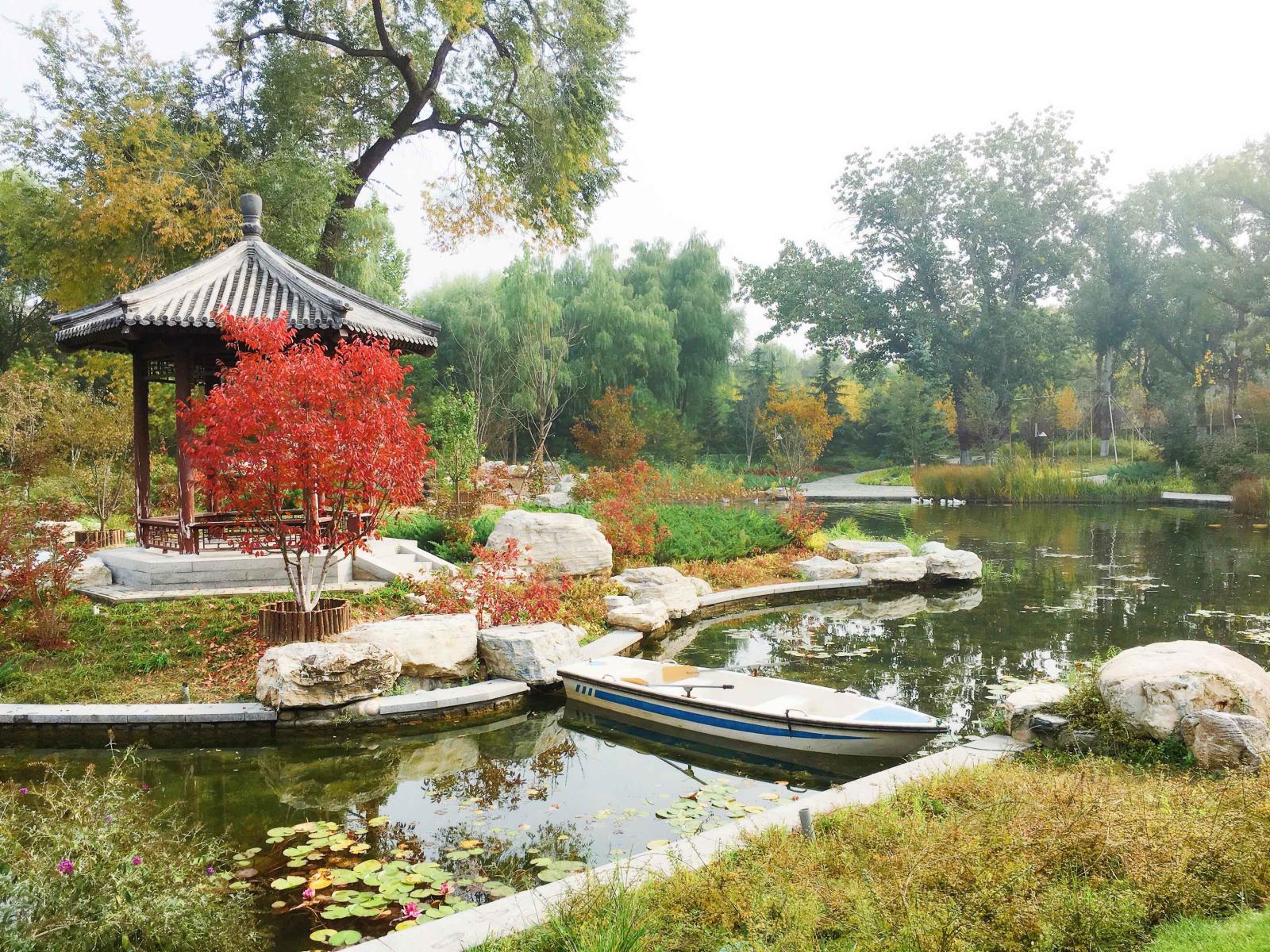 湿地保育区 (3).jpg