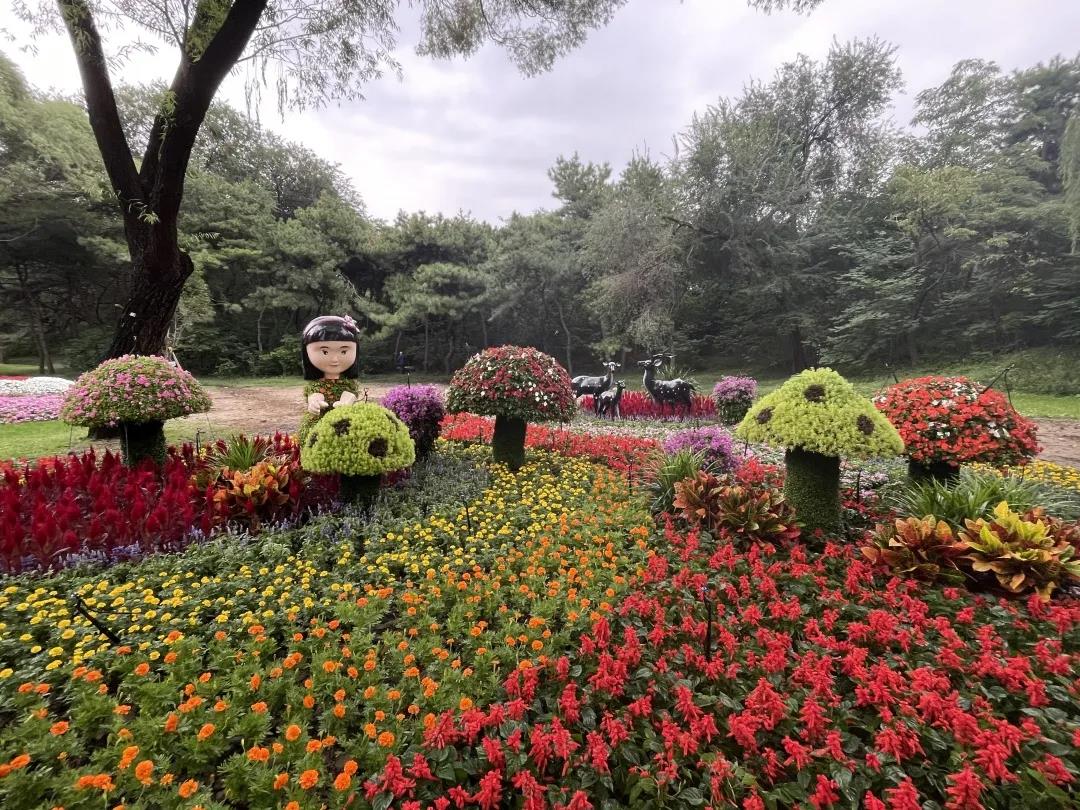 微信图片_20210919144839.jpg 微信图片_20210919144839.jpg