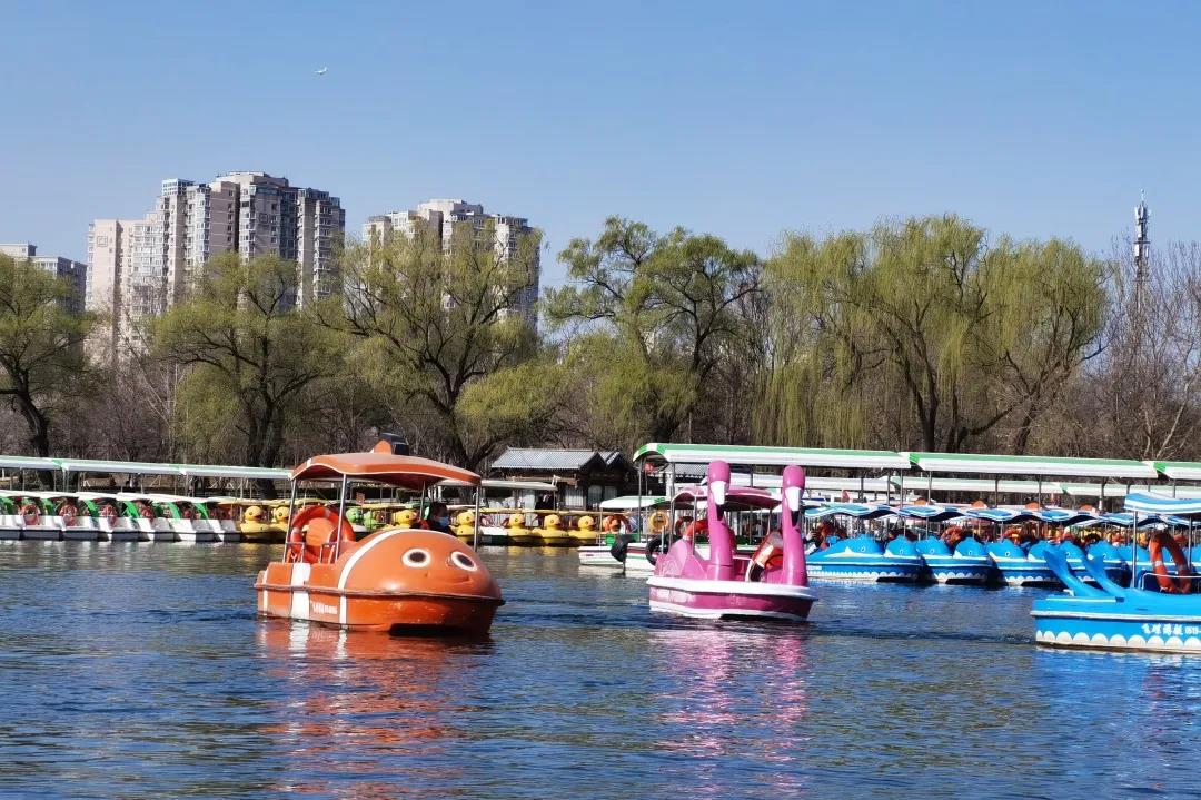 微信图片_20210919144955.jpg 微信图片_20210919144955.jpg