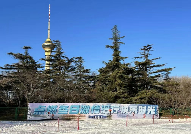 图片1.png 图片1.png